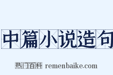中篇小说造句是什么意思的图片